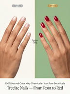 Treelac Nails — Natural Botanical Nail Color | 100% Chemical Free Red Tint